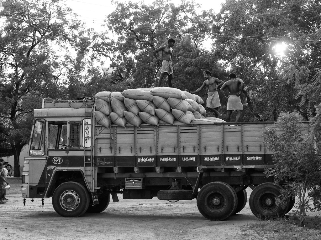 Load(ing) men at work.
Virudhunagar, India